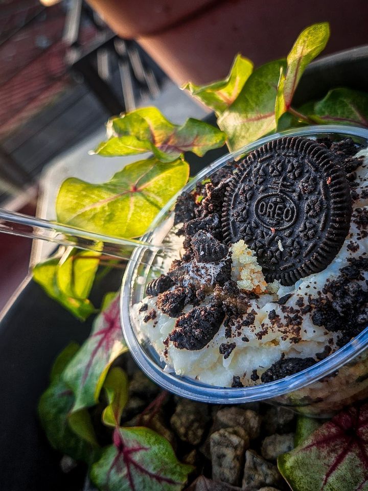 Cake-Jar DréDré Gourmets — vue 3